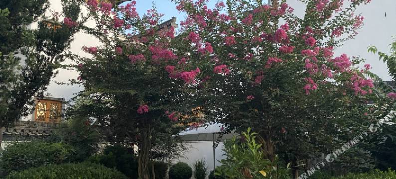 黄山客厅人家民宿(西溪南古村落)图片