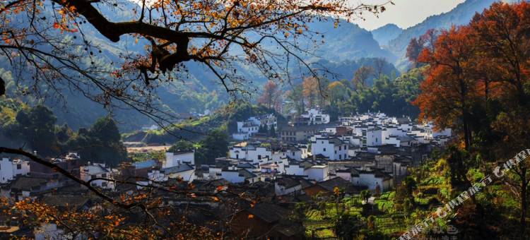 枫悦楼·Villa山景休闲度假美宿(婺源石城红枫叶景区店))图片