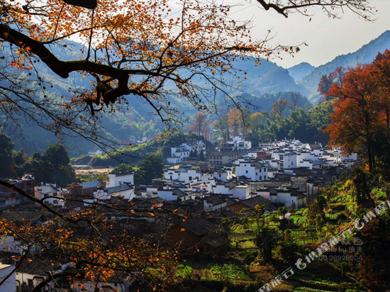 枫悦楼·Villa山景休闲度假美宿(婺源石城红枫叶景区店))