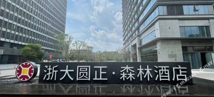浙大圆正·森林酒店图片
