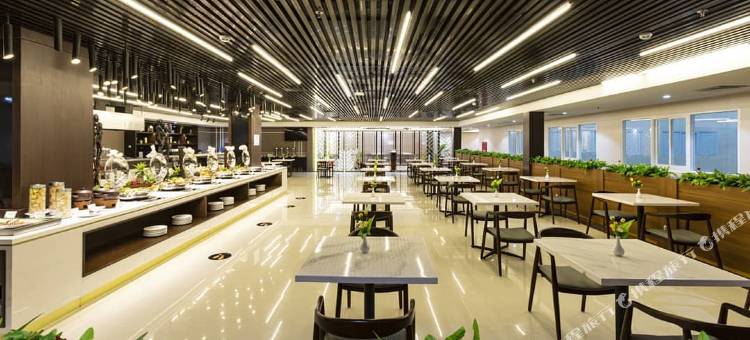 提米卡戴安娜地平线酒店(Horison Diana Timika)图片