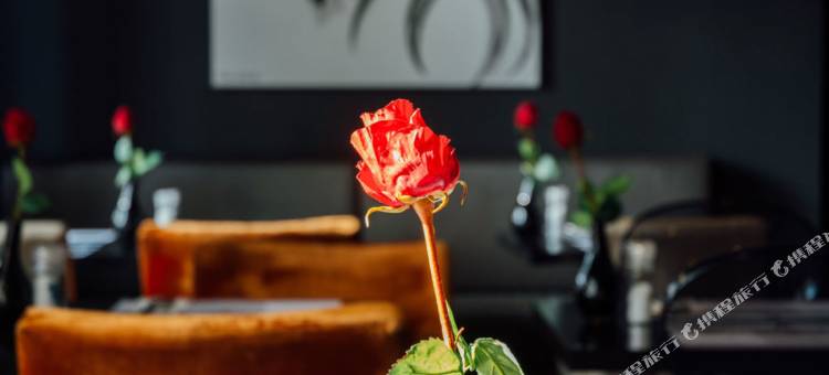 布雷达市中心莱昂纳多酒店(Leonardo Hotel Breda City Center)图片