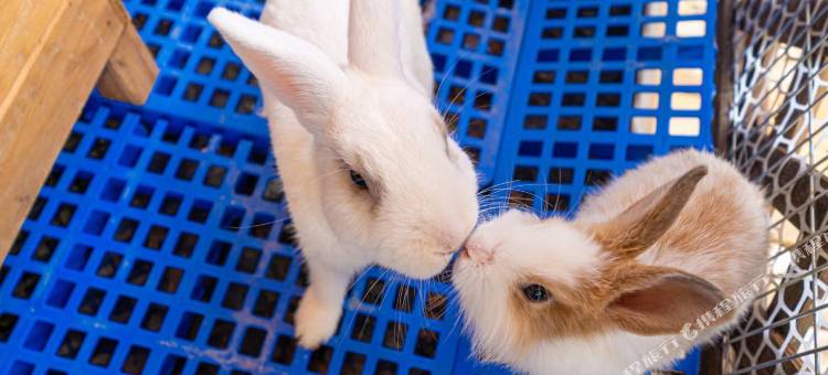 上海宽居云涧花园酒店(松江云间粮仓云间艺术谷店)图片