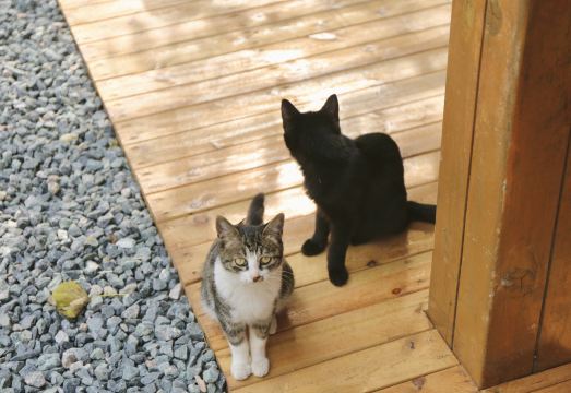 Laojunshan Nuanfeng December Homestay Hotel Overview