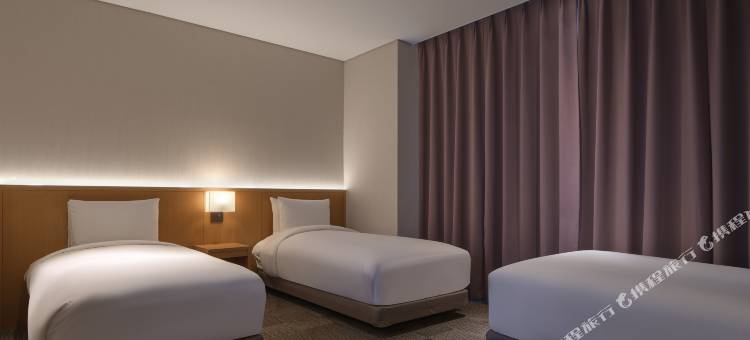 首尔东大门相铁喜普乐吉酒店(SOTETSU HOTELS THE SPLAISIR SEOUL DONGDAEMUN)图片