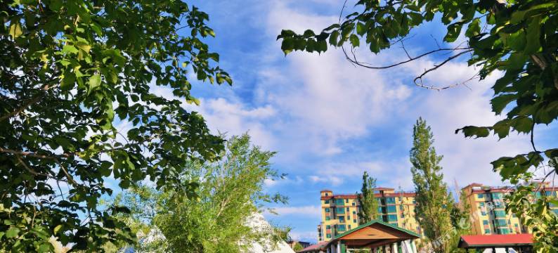 丝路新居房车营地(精河人民公园店)图片