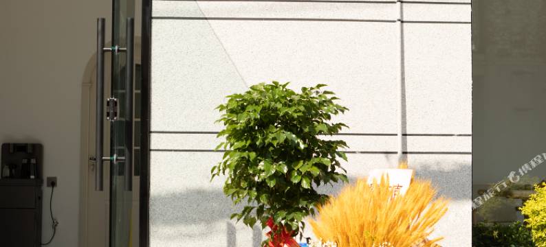 钰溪民宿(清明上河园金水门店)图片