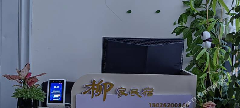 柳家民宿图片