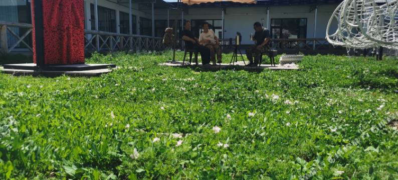 那拉提川辣疆香农家乐图片