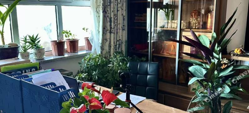 水磨星宿小院图片