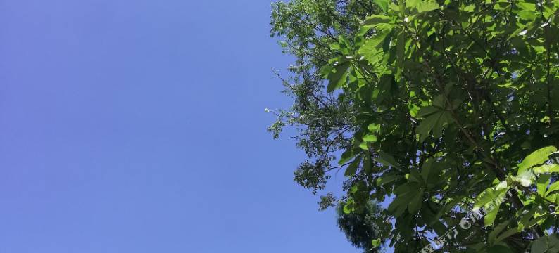 石柱林悠居避暑山庄图片