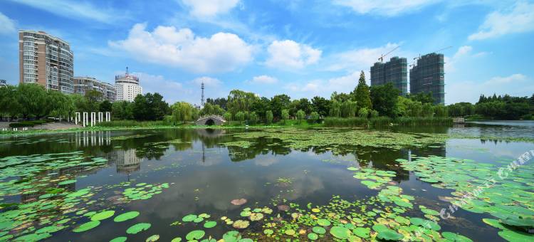 尚客优酒店(阜阳经二路店)图片