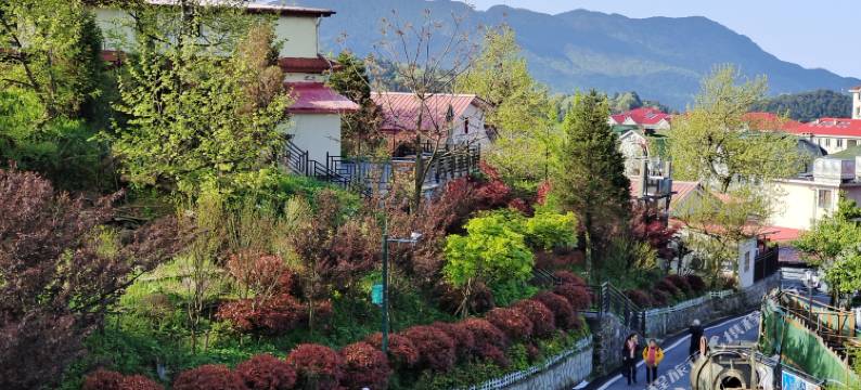 庐山憩而不舍民宿图片