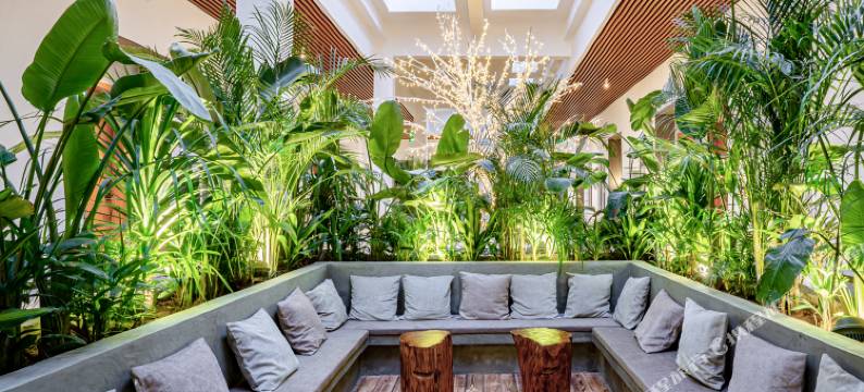 北海樟树缘民宿(北海金滩店)图片