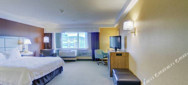 希尔顿欢朋套房酒店-波士顿市中心(Hampton Inn & Suites Boston Crosstown Center)图片