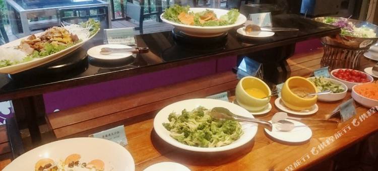 丽多森林温泉酒店图片
