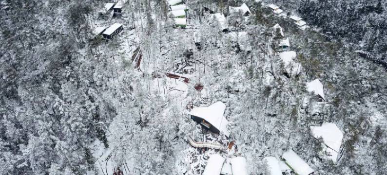 酉阳桃花源森林酒店图片