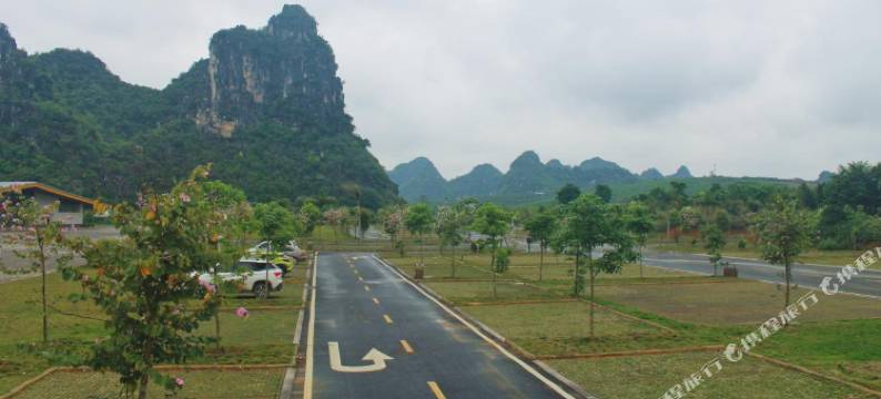 白头叶猴公寓图片