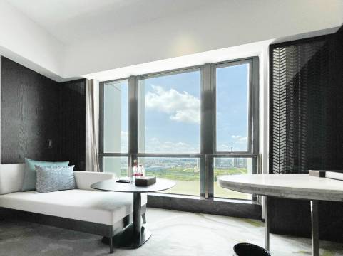 佛山白天鹅采奕酒店图片