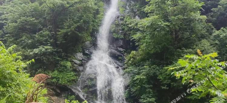 宁乡清雅轩茗宿图片