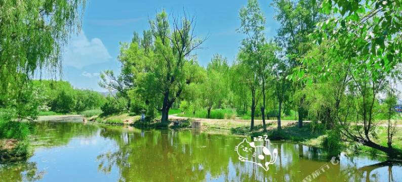 北京左邻右舍民宿图片