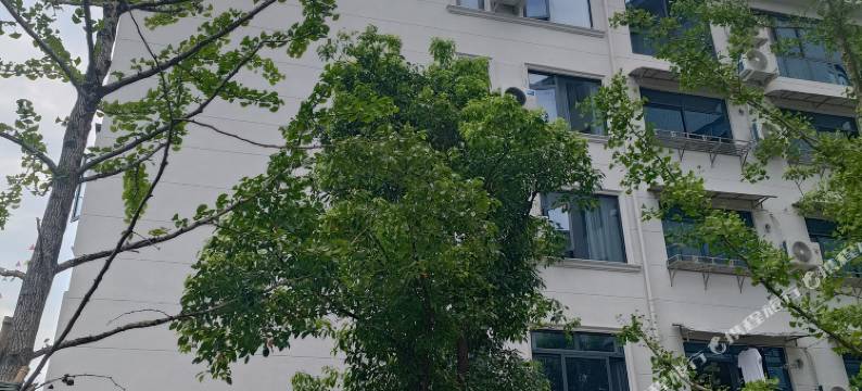 桐庐富春江畔山禾悦民宿(桐庐高铁站店)图片