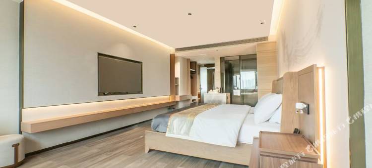 扎西映象大酒店图片