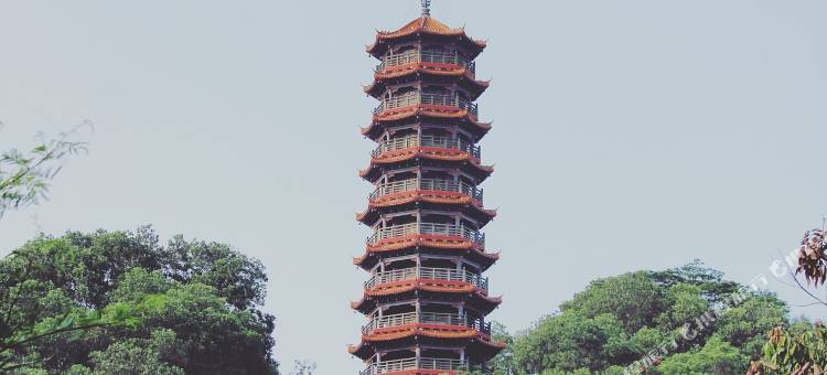 198精品酒店(深圳公明广场地铁站大仟里店)图片