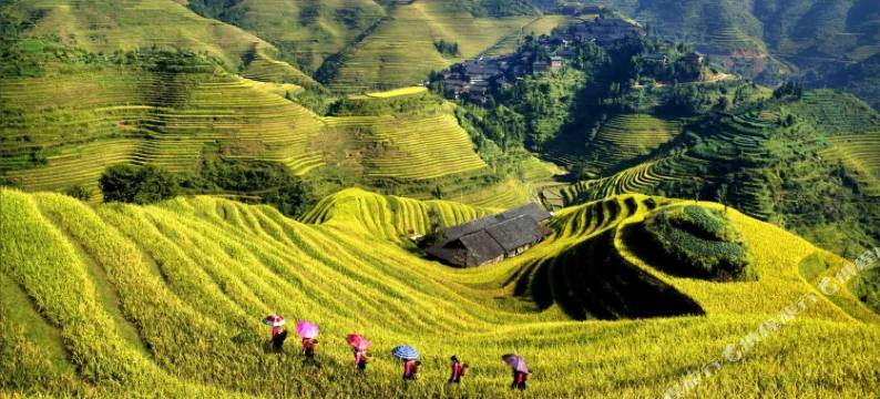 龙脊梯田雲瑶阁民宿图片