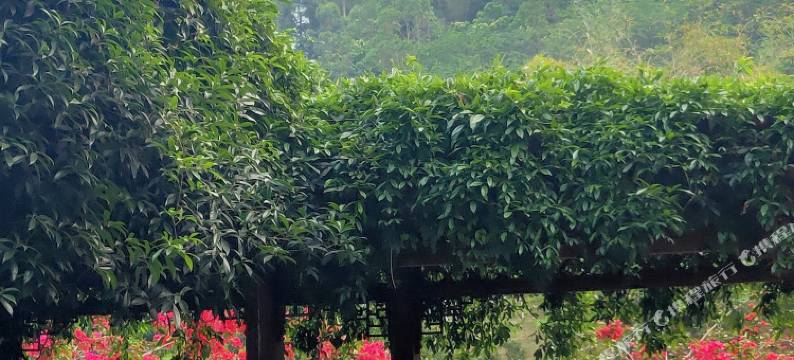 天瑞宾馆(乐山嘉兴路美食街店)图片