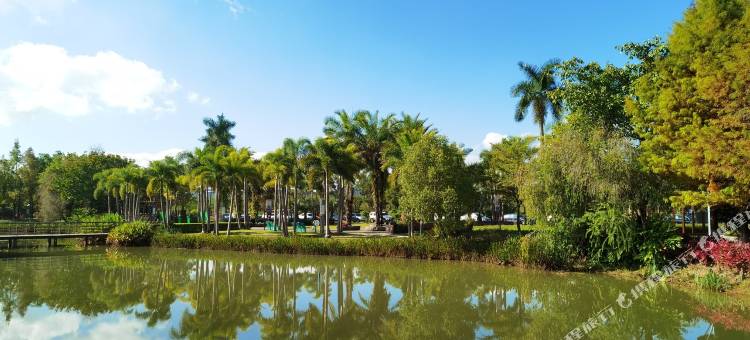 普洱翠微民宿图片