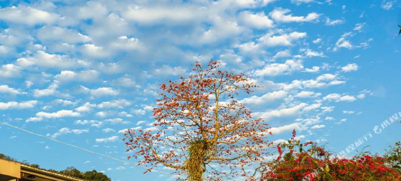 昌江苗村天涯驿站木棉客栈图片