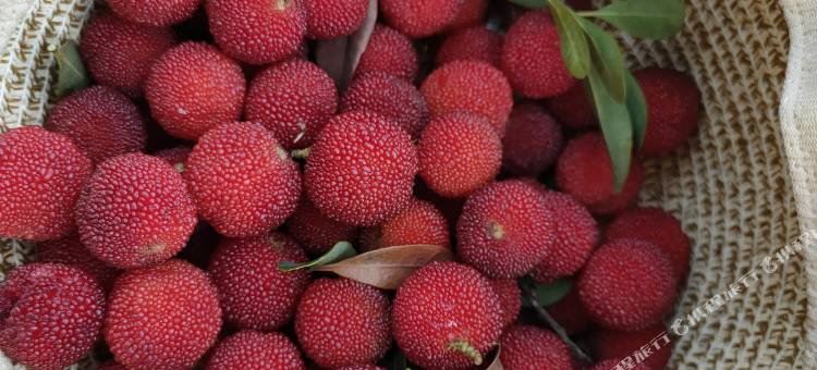 安吉地香民宿(中南百草原浙江自然博物馆店)图片