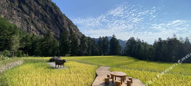 丽水遂昌乐领旗山侠隐庄园图片