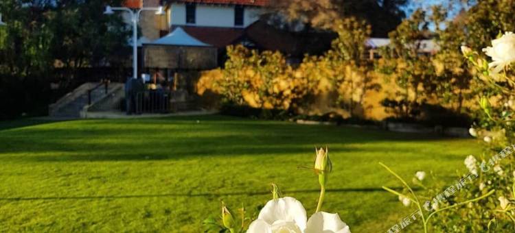 亚林加普贝类酒店(Seashells Yallingup)图片