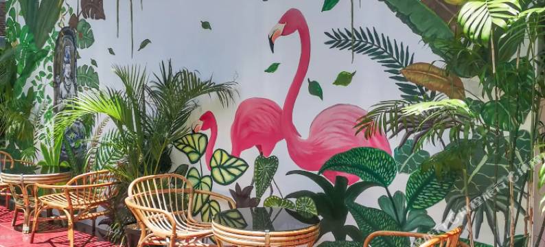 伊真火山小睡旅馆(Snooze Hostel Ijen)图片