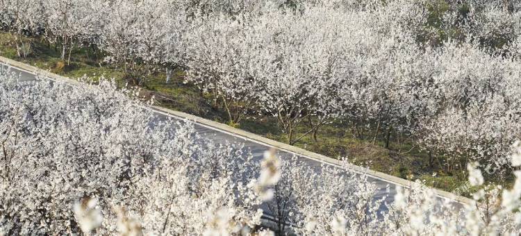 织金花舍民宿(织金洞店)图片