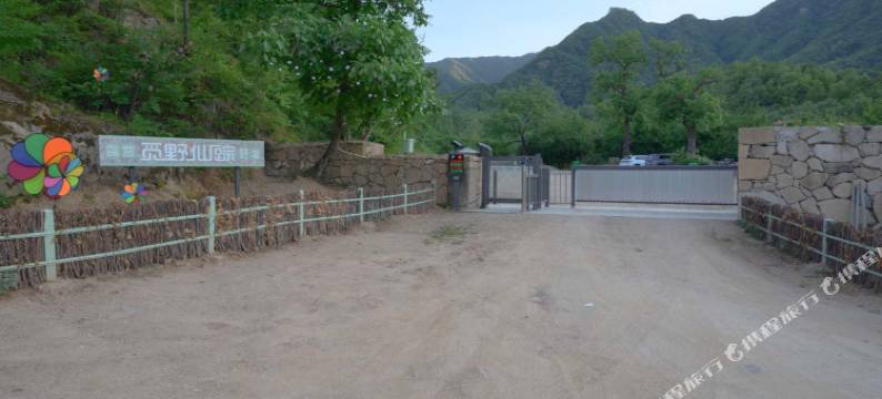 栾川觅野仙踪露营地图片