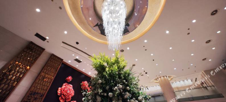 重庆欧瑞大酒店图片