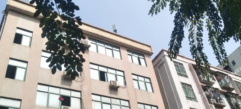 宝安好客民宿图片