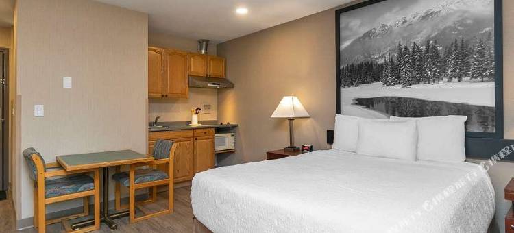 品质酒店及套房(Quality Inn & Suites)图片