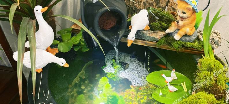 一念间民宿(南岳大庙景区店)图片