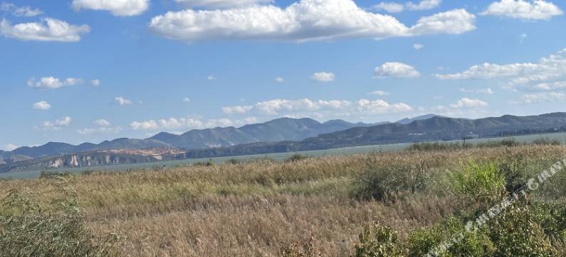 凤庆蒲宁寓庭院客栈图片