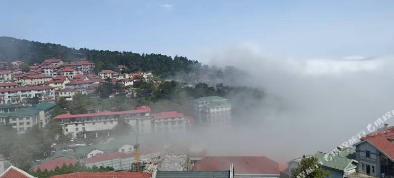 庐山周阿姨农家乐图片