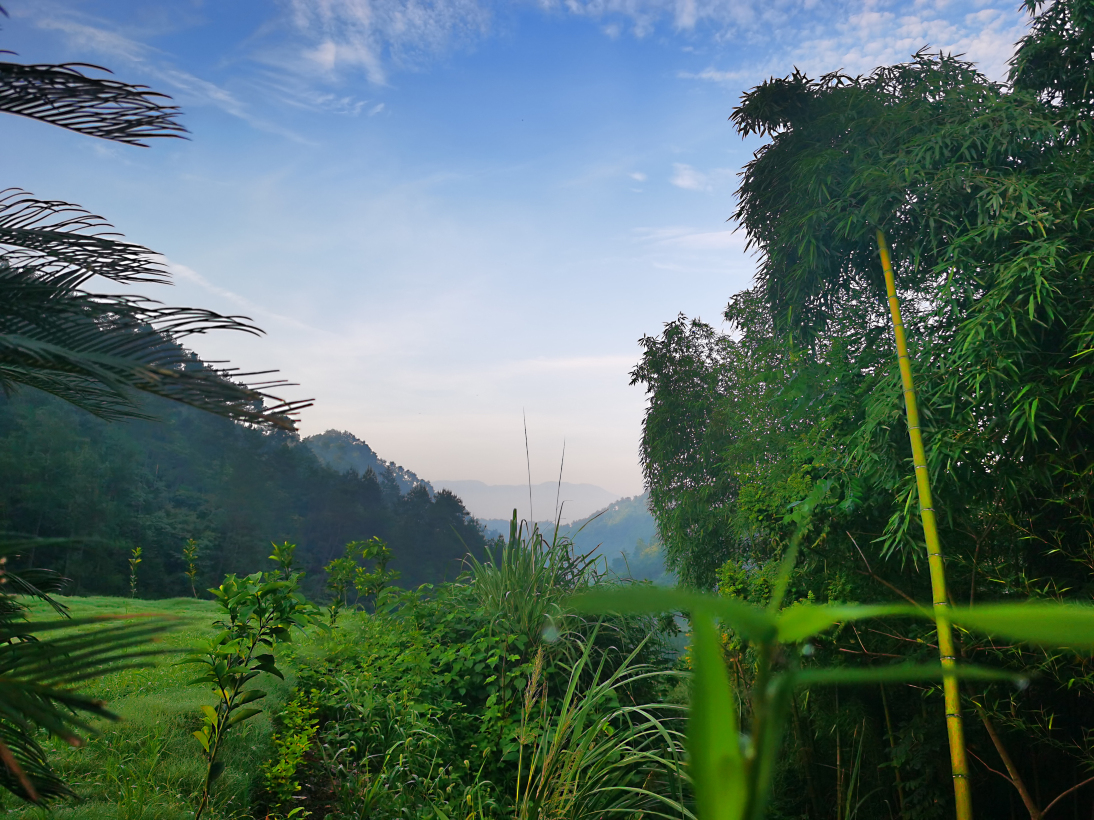 Jiande Suites Hotel Overview