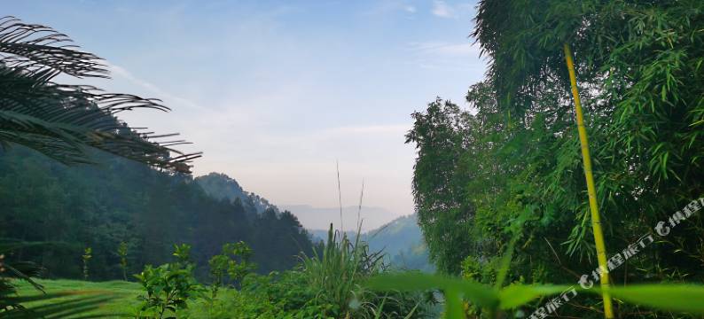 建德璞宿民宿图片