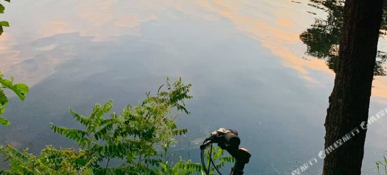 波士顿纽顿福朋喜来登酒店(Four Points by Sheraton Boston Newton)图片