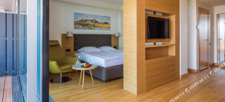 塞玛拉利耶卢佩&会议酒店(Lielupe Hotel Spa & Conferences by Semarah)图片