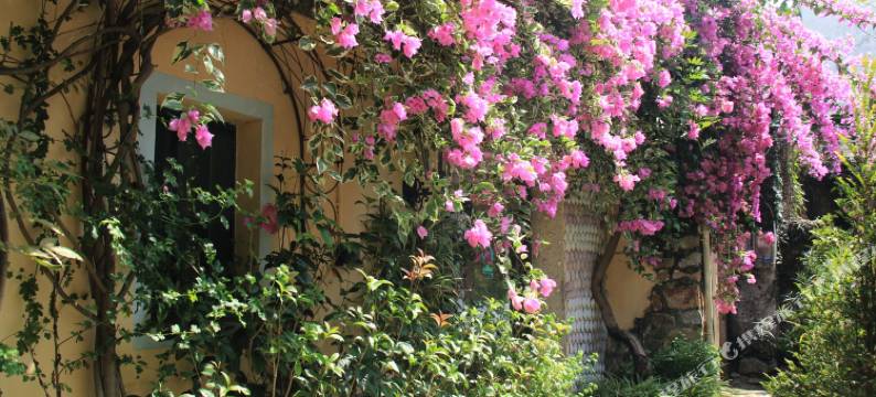 珠海巷里民宿图片