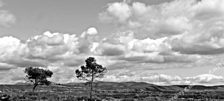 马赛机场贝斯特韦斯特酒店(Best Western Marseille Aeroport)图片